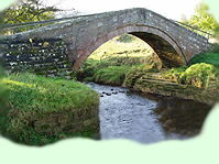 Ducks Bridge