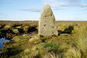 Millennium Stone